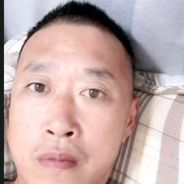 陶沙的照片