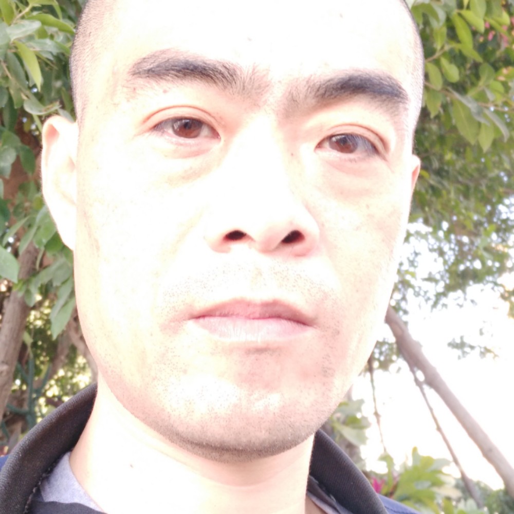 凝望不语的照片
