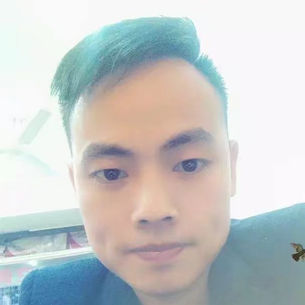 花痴树叶的照片