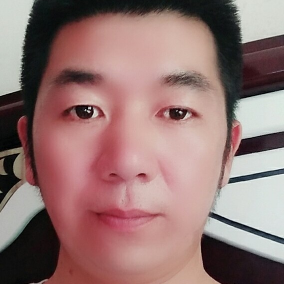 猫咪蹁跹长情的照片