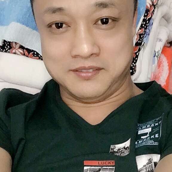 胡萝卜愿虚拟的照片