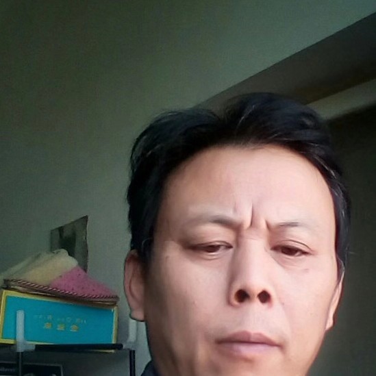 康乃馨现实730的照片