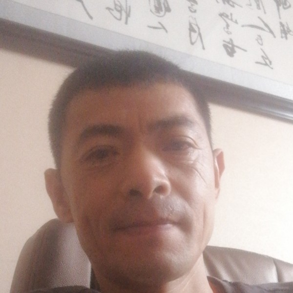 小豹牛的照片