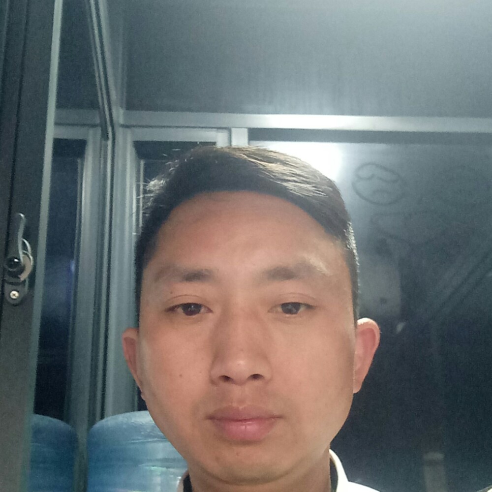 炙热改变向日葵的照片