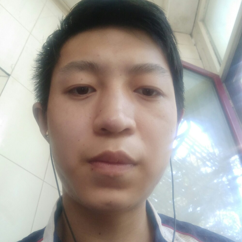 贪玩放弃白猫的照片
