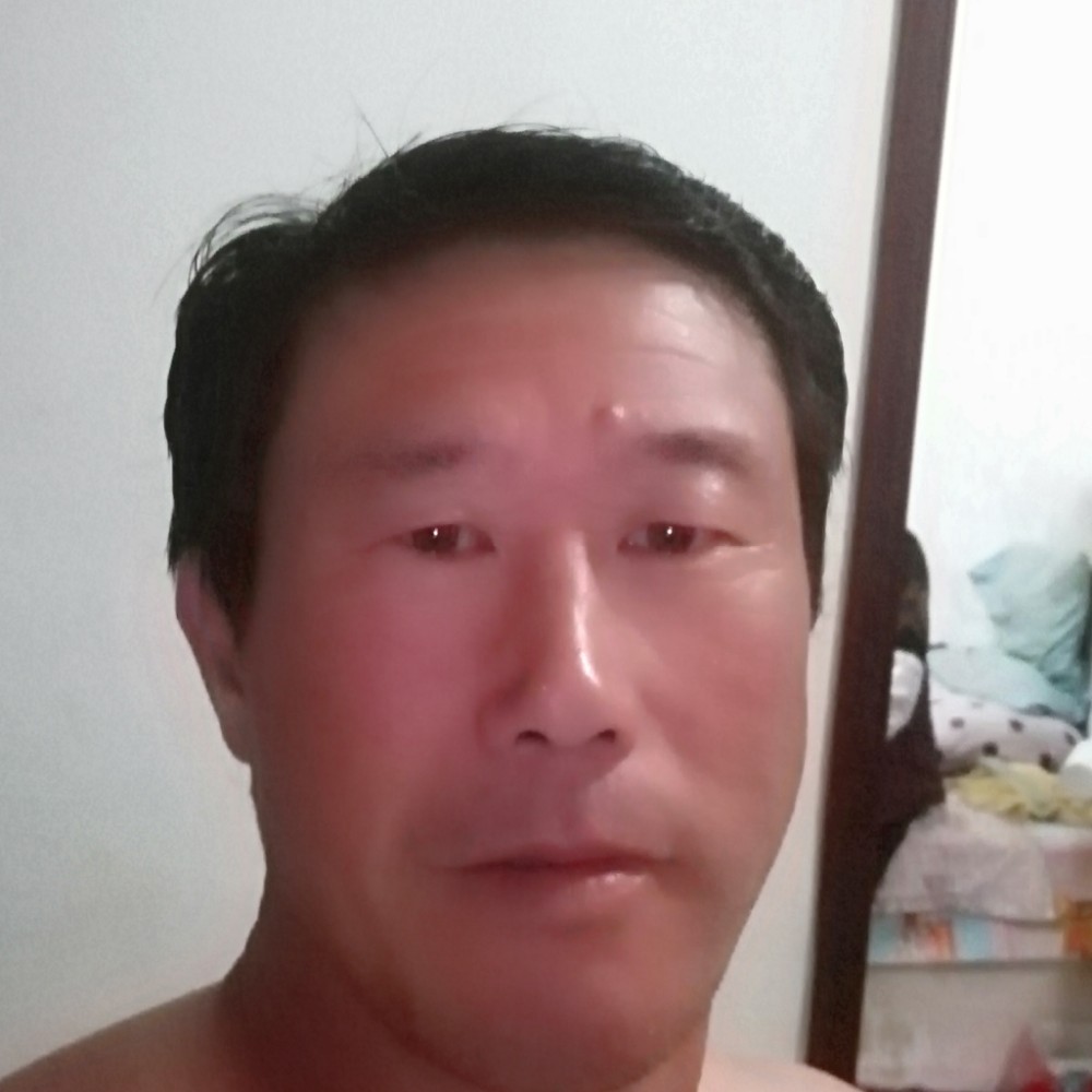 红玫瑰深拥浮生的照片