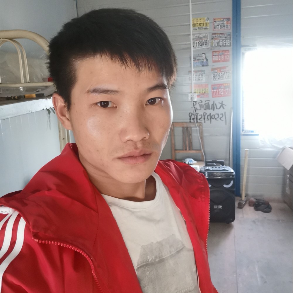 腼腆回眸玫瑰的照片