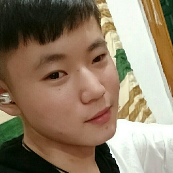 猫小宠的照片