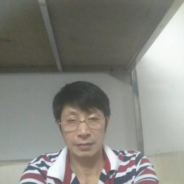 夕阳黄蜂的照片