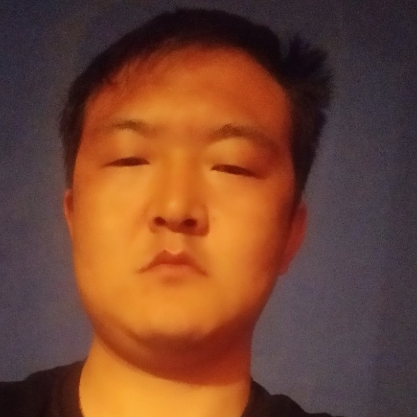 灰狼等于彼年的照片
