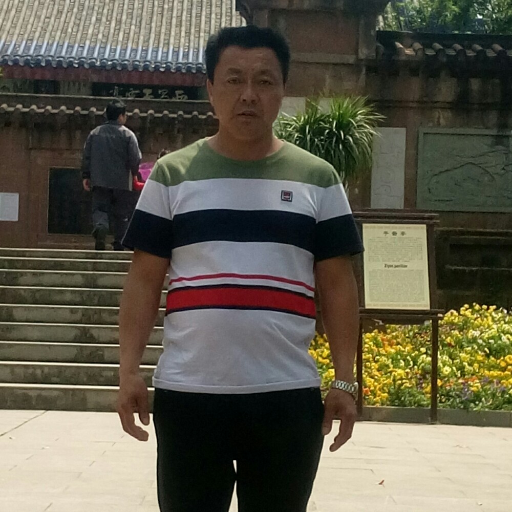文艺迎仙人掌的照片