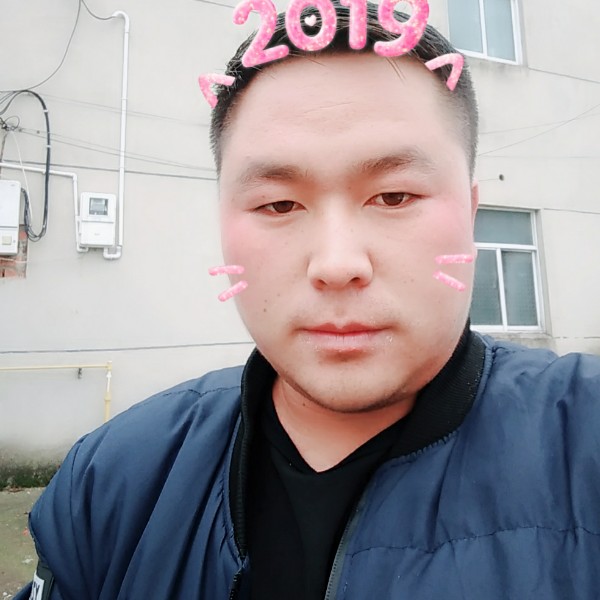 年轻小鸽子的照片