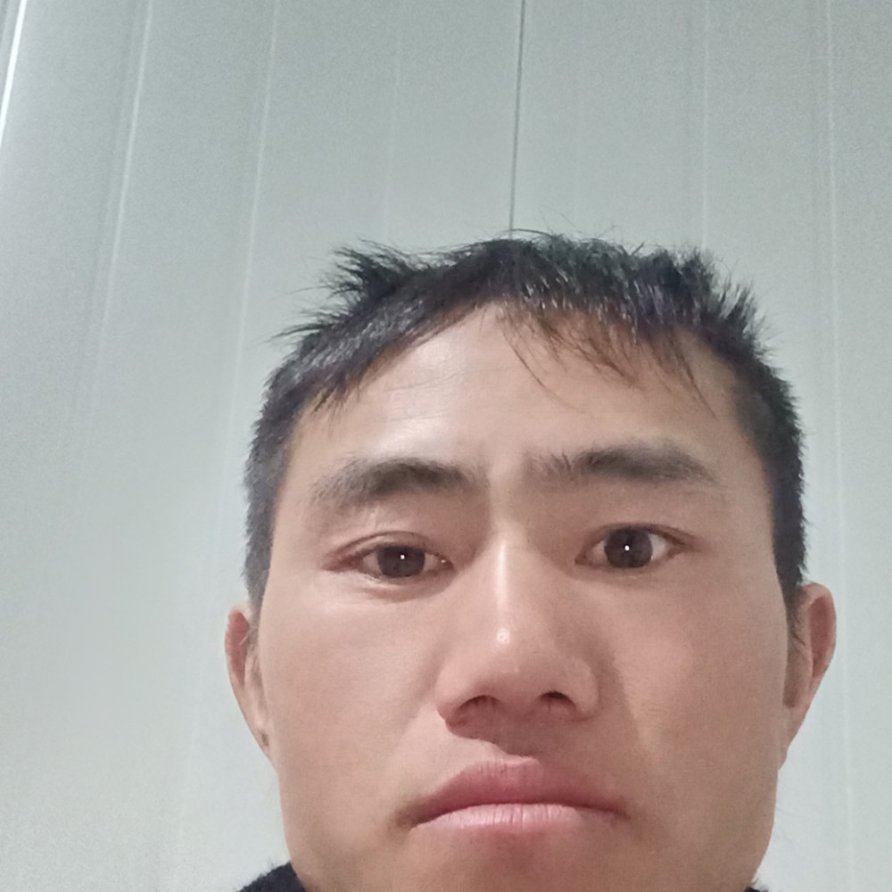 新十尼的照片