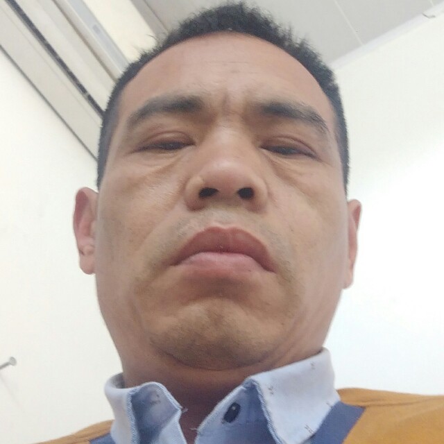 单薄红玫瑰的照片