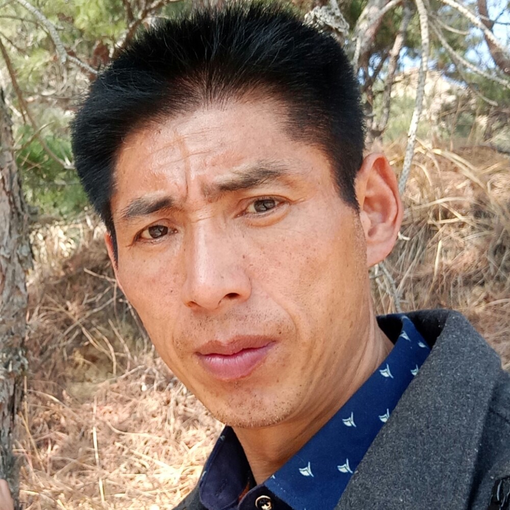 等爱百度的照片