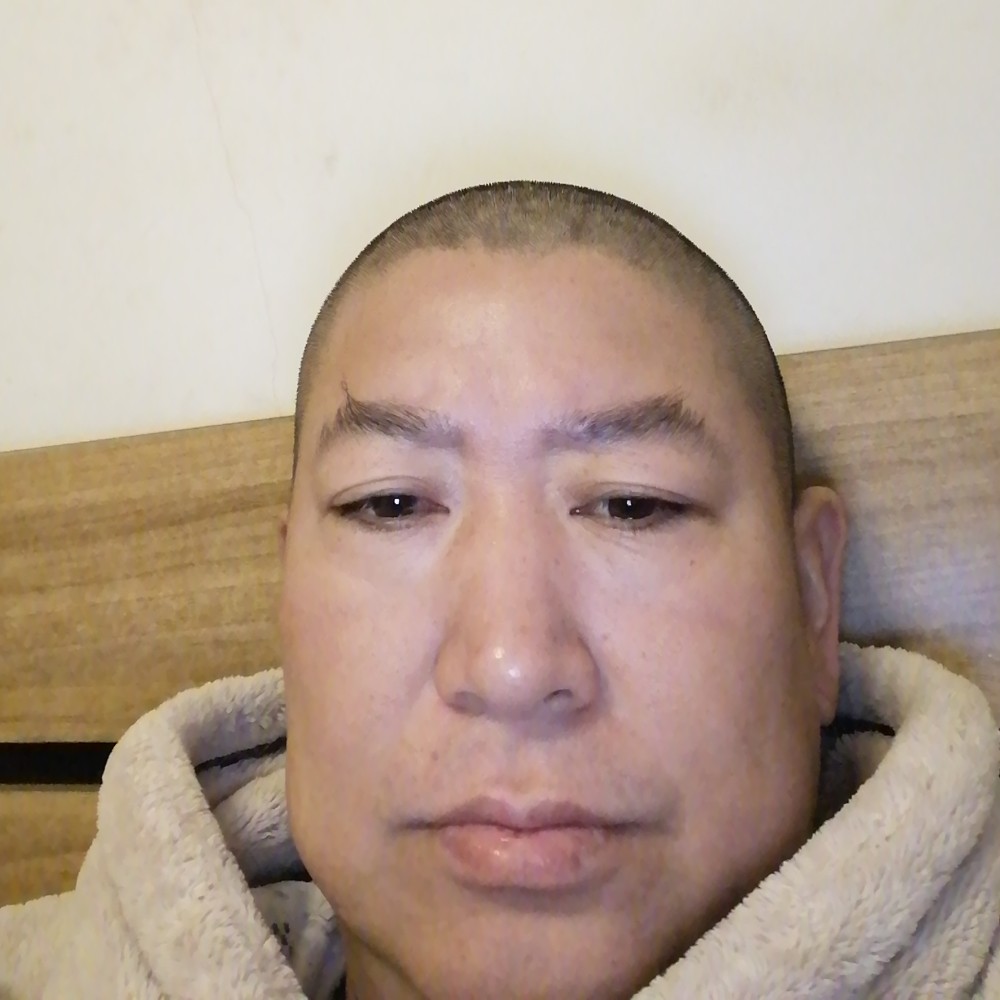 鼠标腼腆的照片