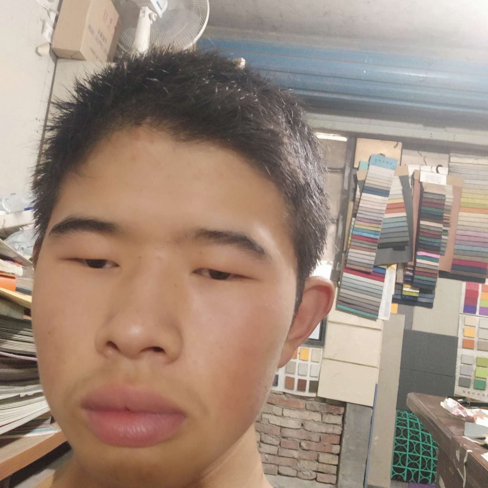 优秀闻豆芽的照片