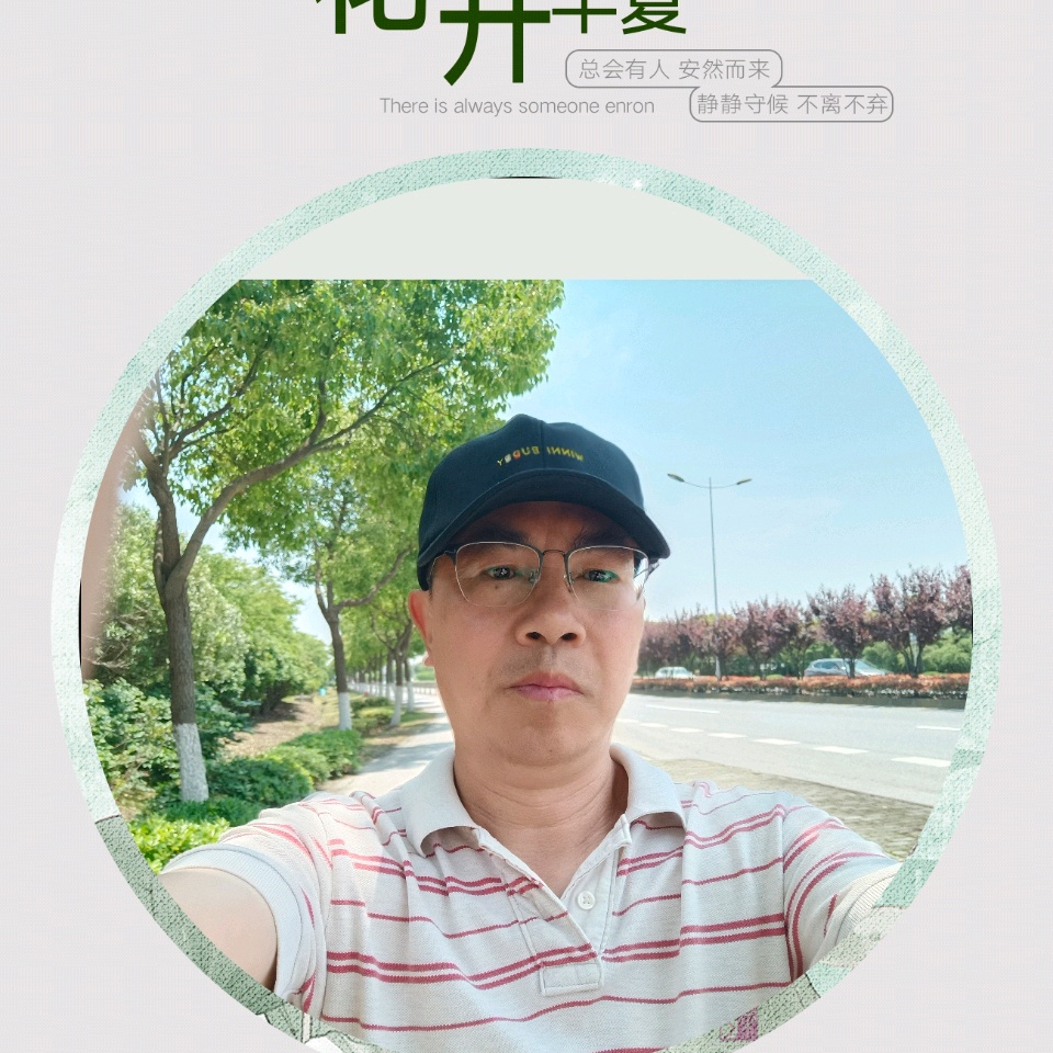 沉默的罗宾的照片