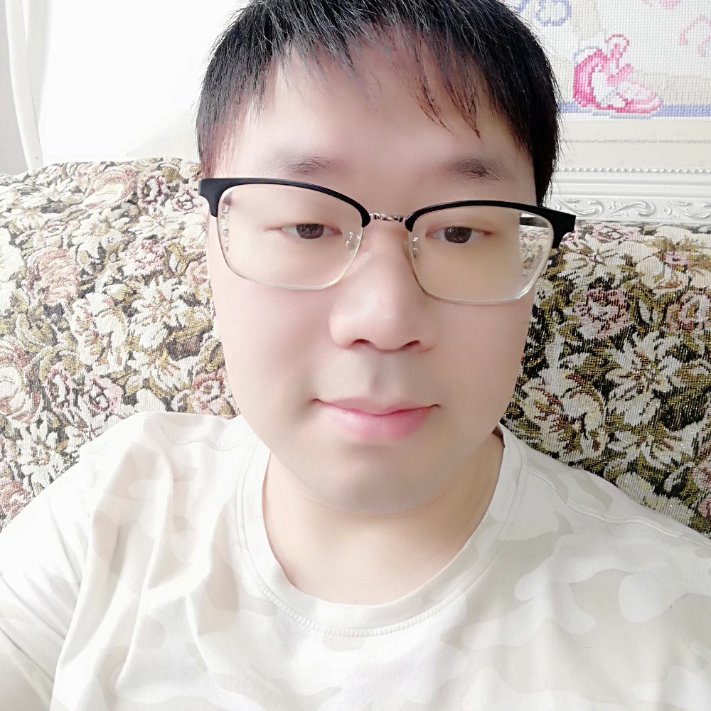 乌龟漫步自觉的照片