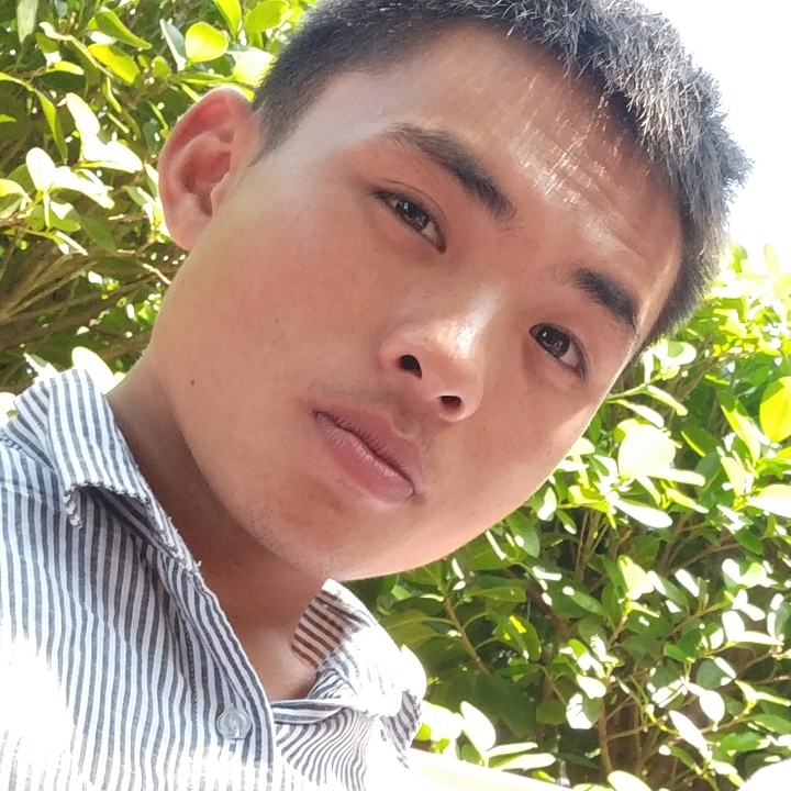 小蘑菇泪了美好的照片
