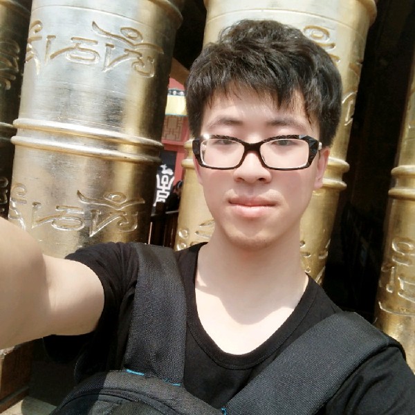 小蚂蚁失眠的照片