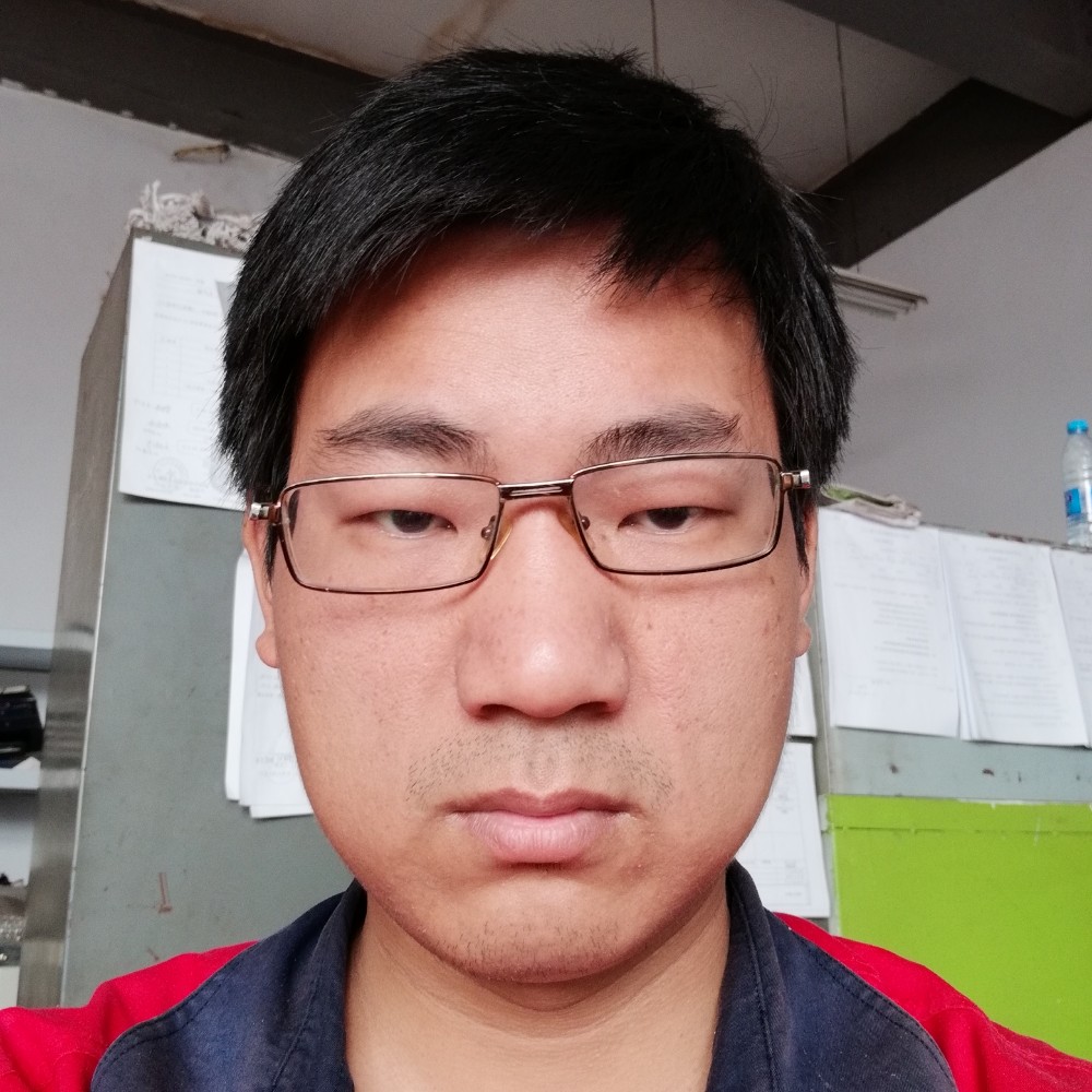 粗心刺猬的照片