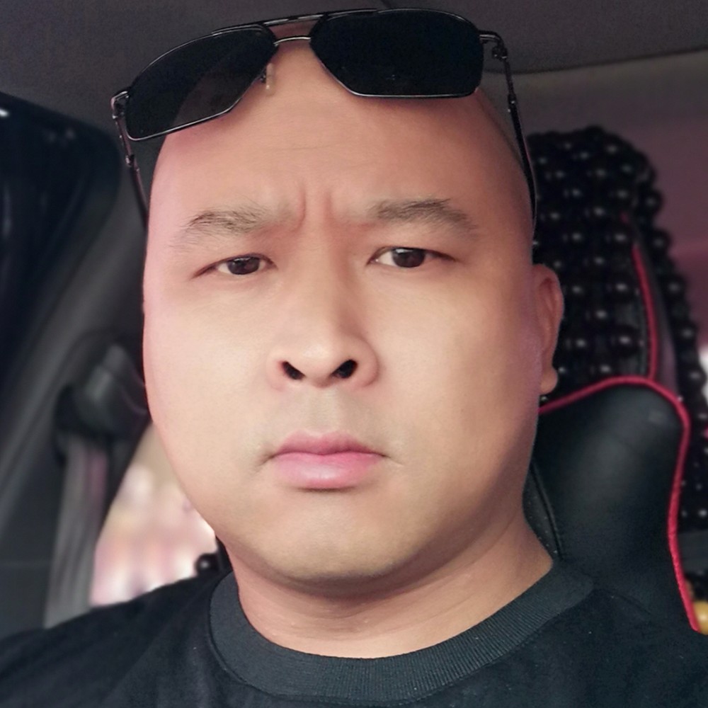 安详黄蜂的照片