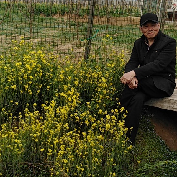 小懒猪孤單的照片