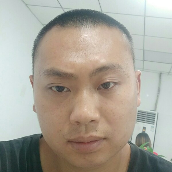 哈密瓜幽默的照片