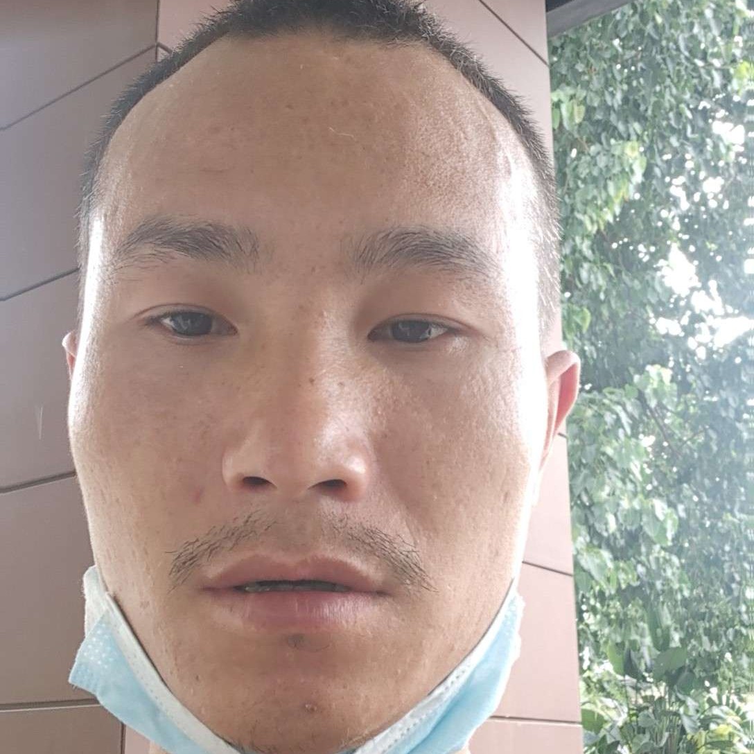 无心和便当的照片