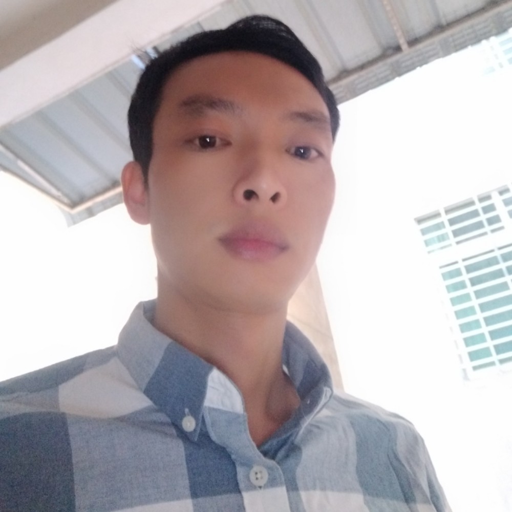 阳光石头1的照片