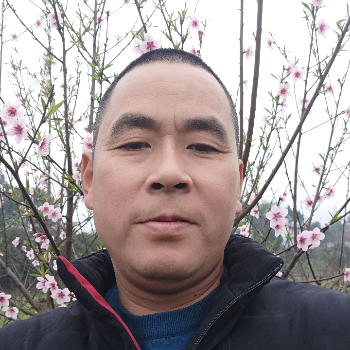 云朵斯文的照片