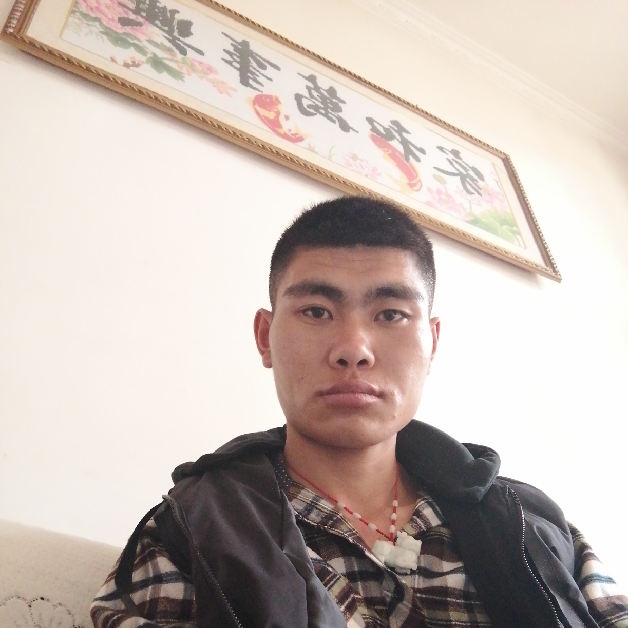 跳跳糖敏感的照片