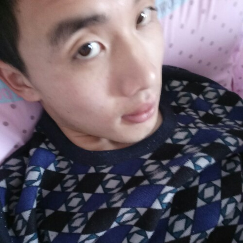 爱情来的好突然的照片