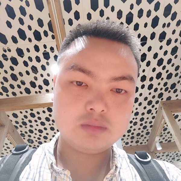 虚拟倾心流岚的照片