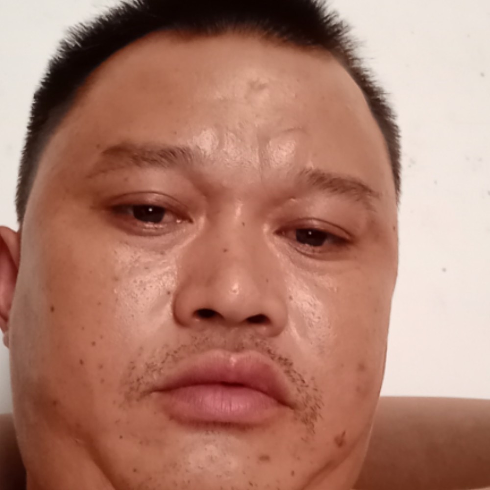 灰狼拿淡定的照片
