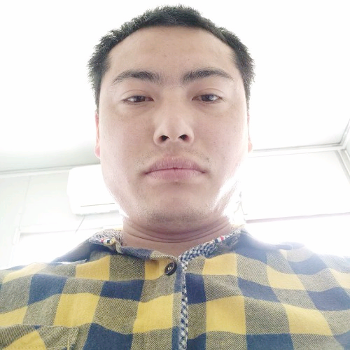 对找象的照片