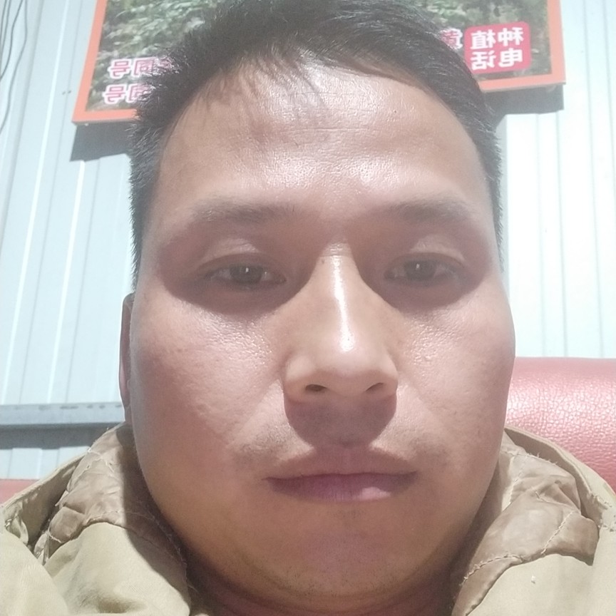 哈密瓜深拥痴情的照片