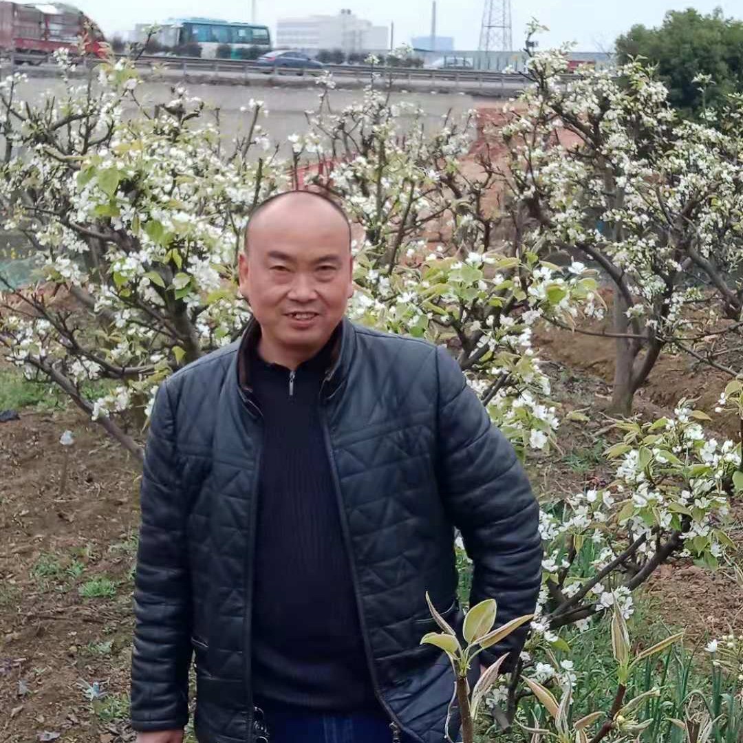 热心浅吻绝恋的照片