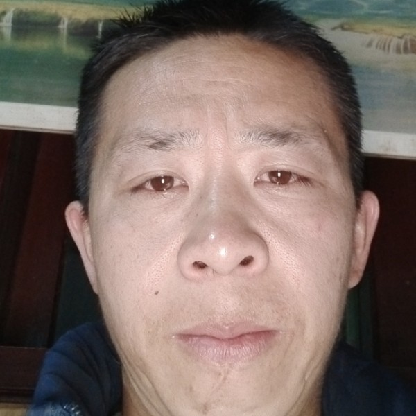 小蘑菇勤劳的照片