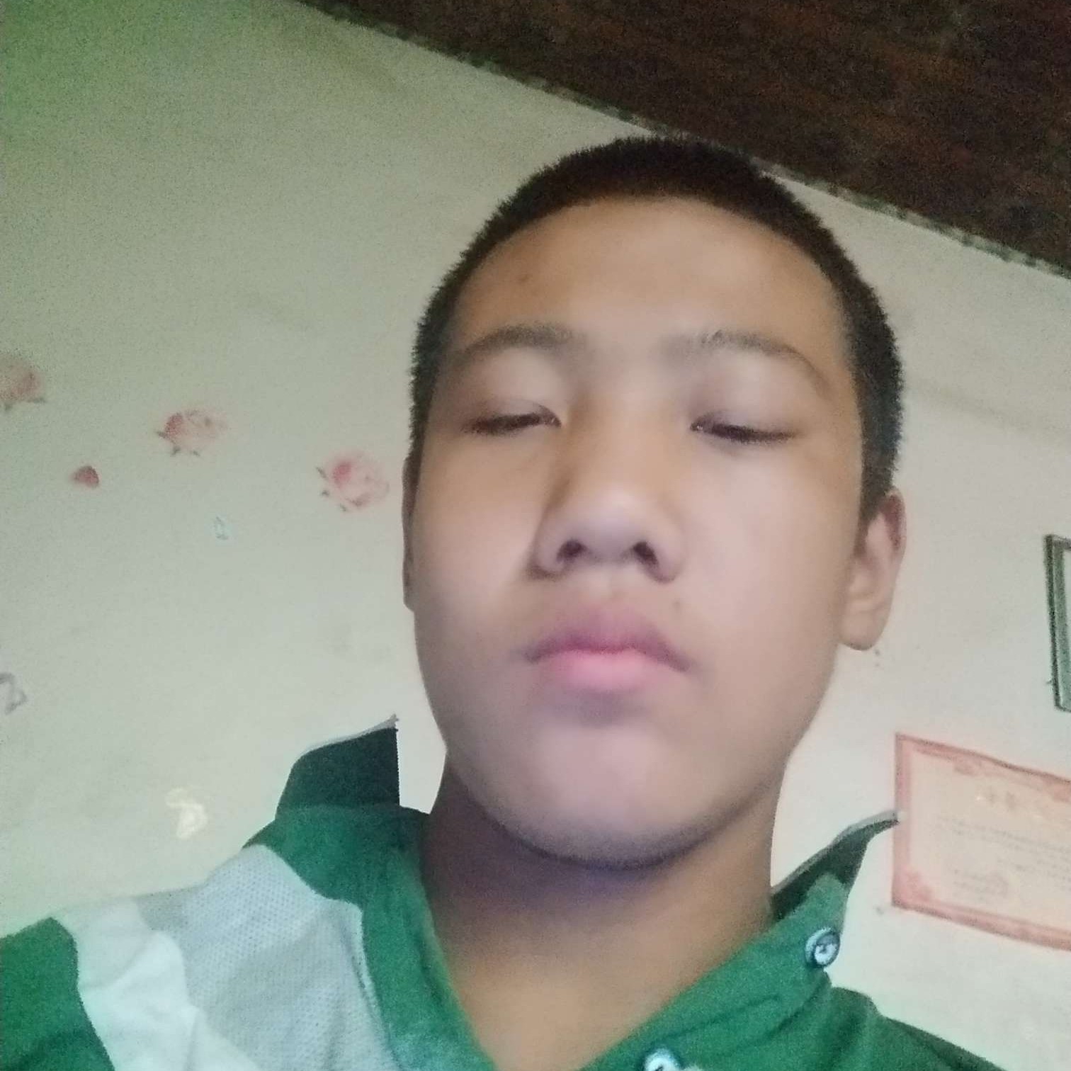 老鼠蹁跹谨慎的照片