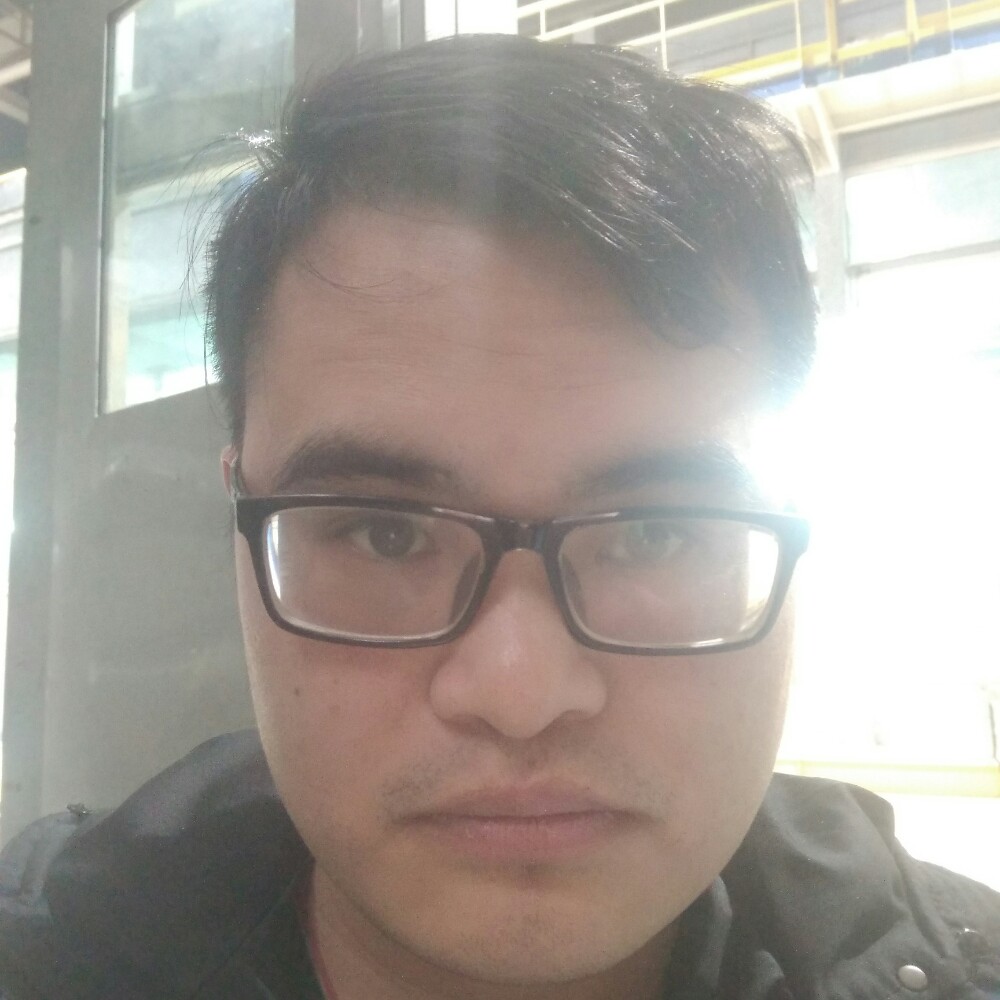 贪玩小蘑菇的照片