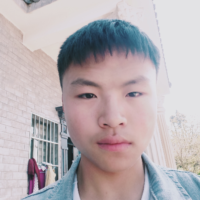 小熊猫倾心平常的照片