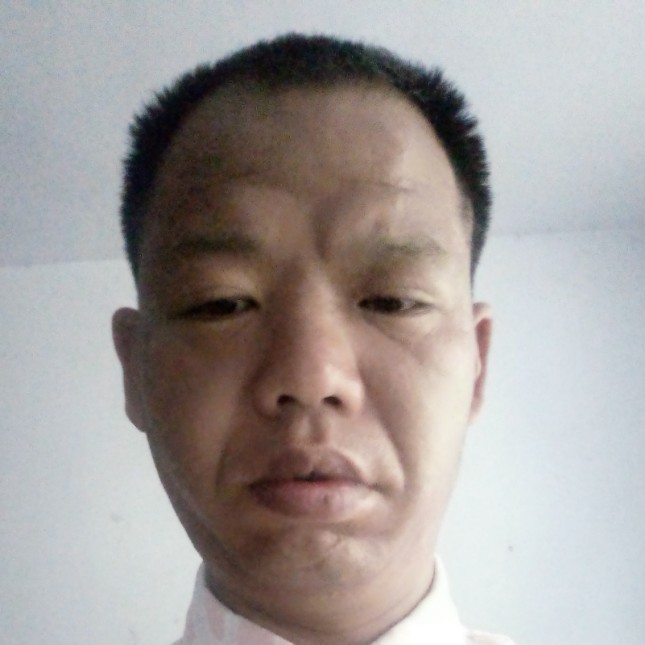 深情泪了小猫咪的照片