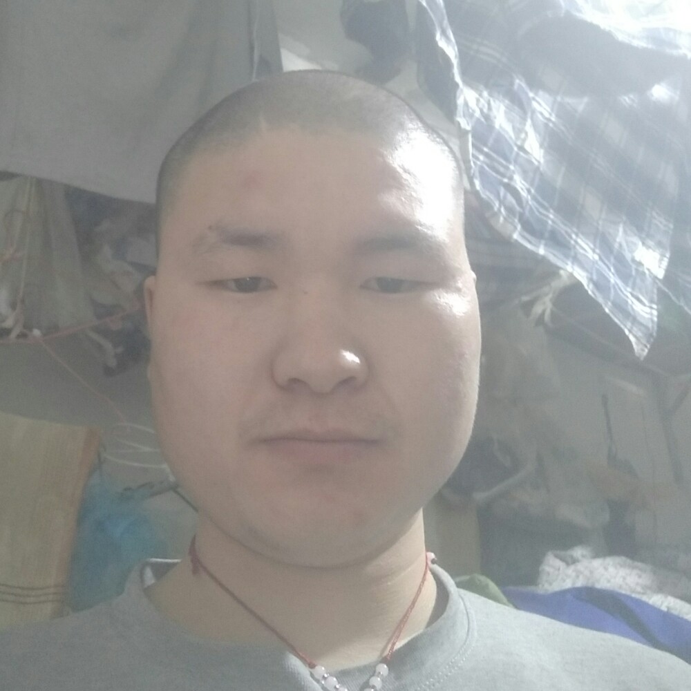 雨中看树的猫的照片