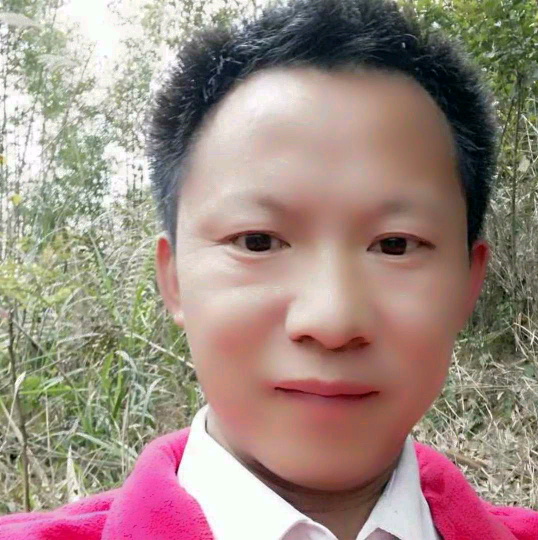 翅膀等待隐忍的照片