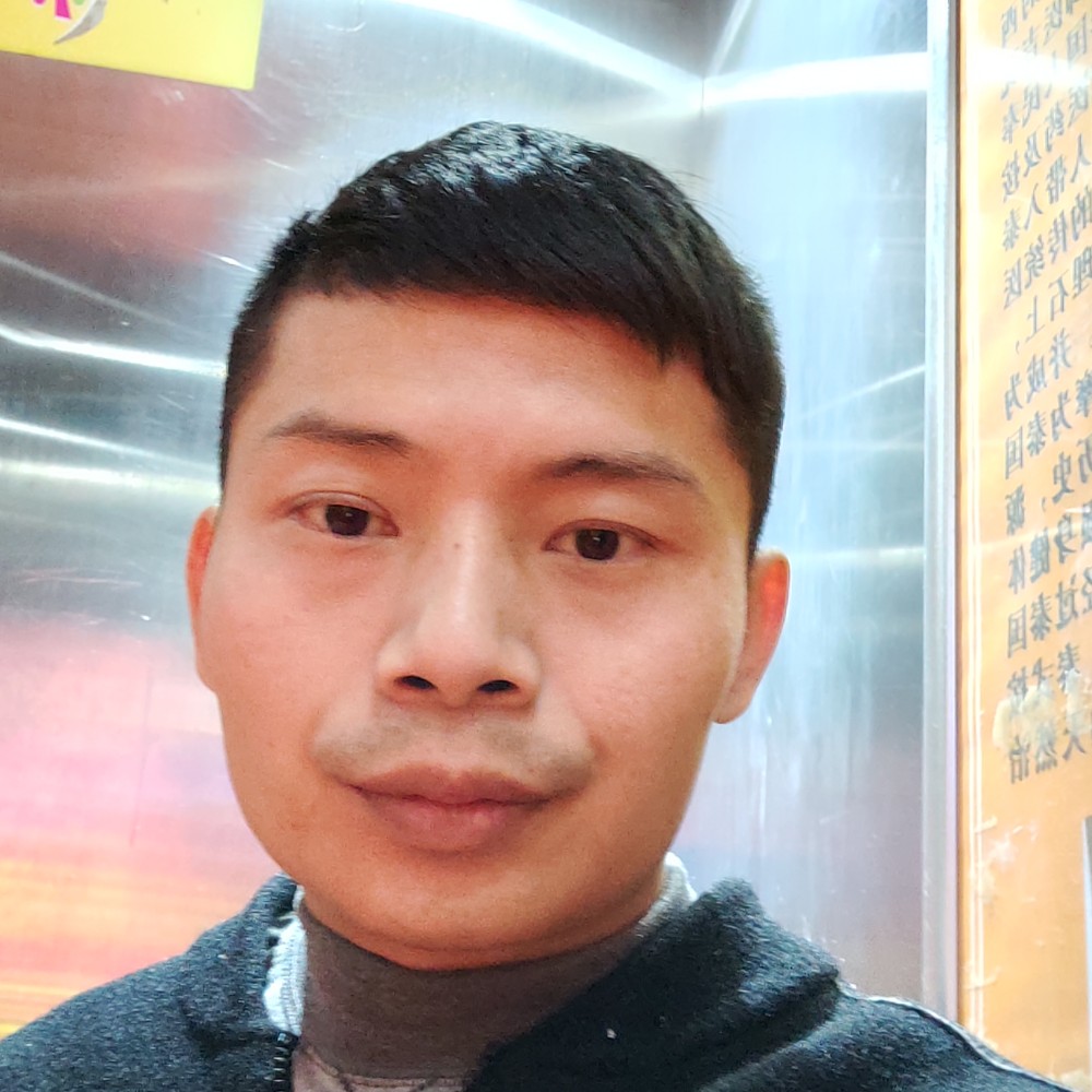大雁多么彩色的照片