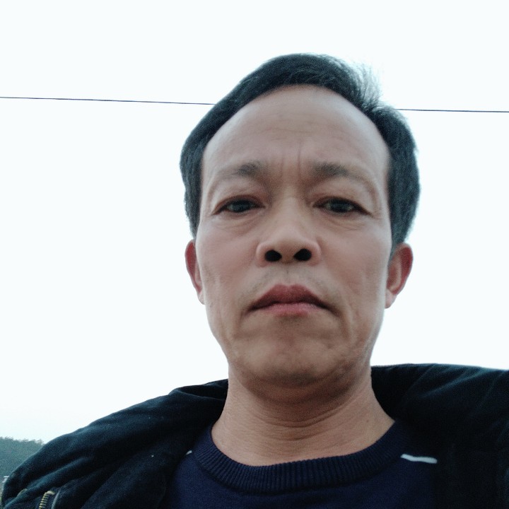 火龙果自然的照片