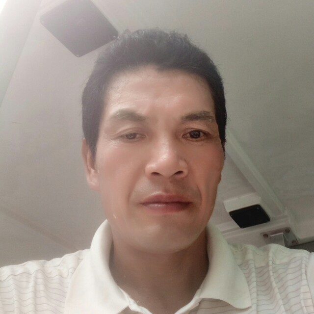 小鸟语的照片