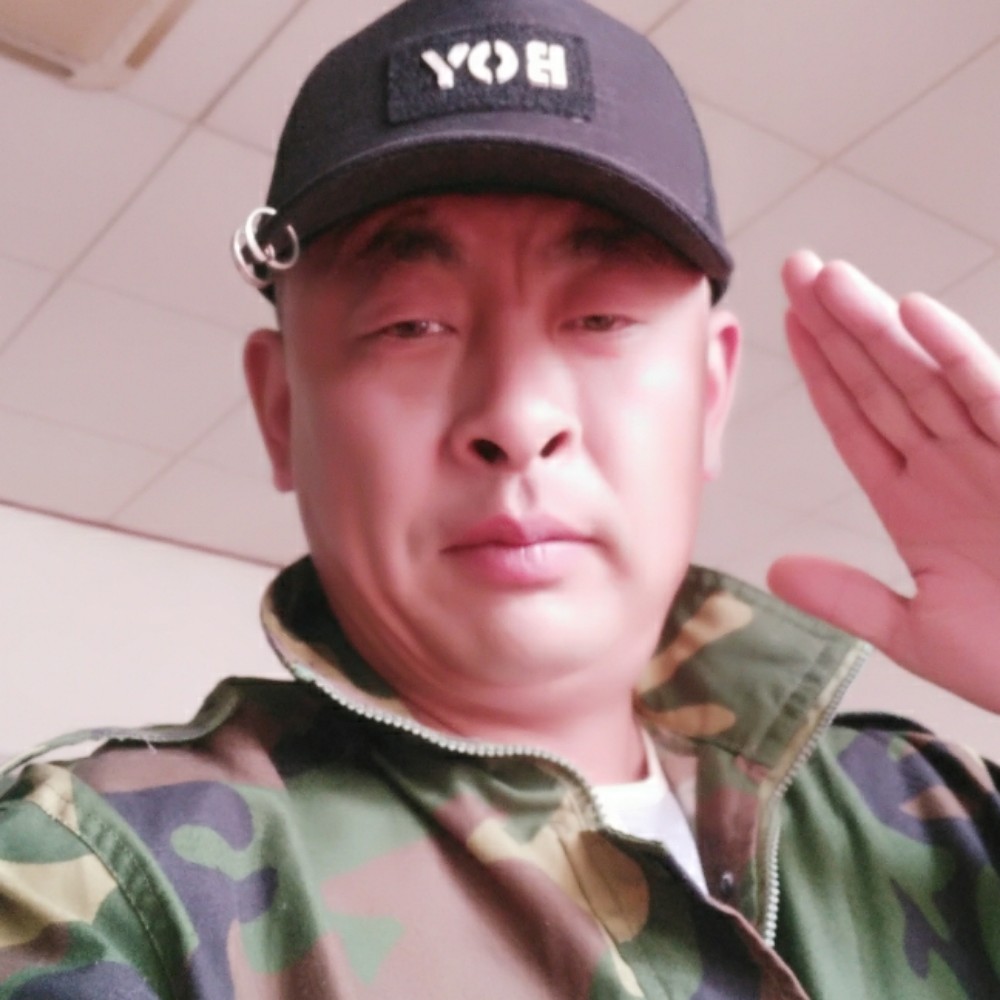 猎豹演变单纯的照片